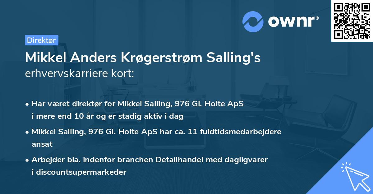 Mikkel Anders Krøgerstrøm Salling's erhvervskarriere kort