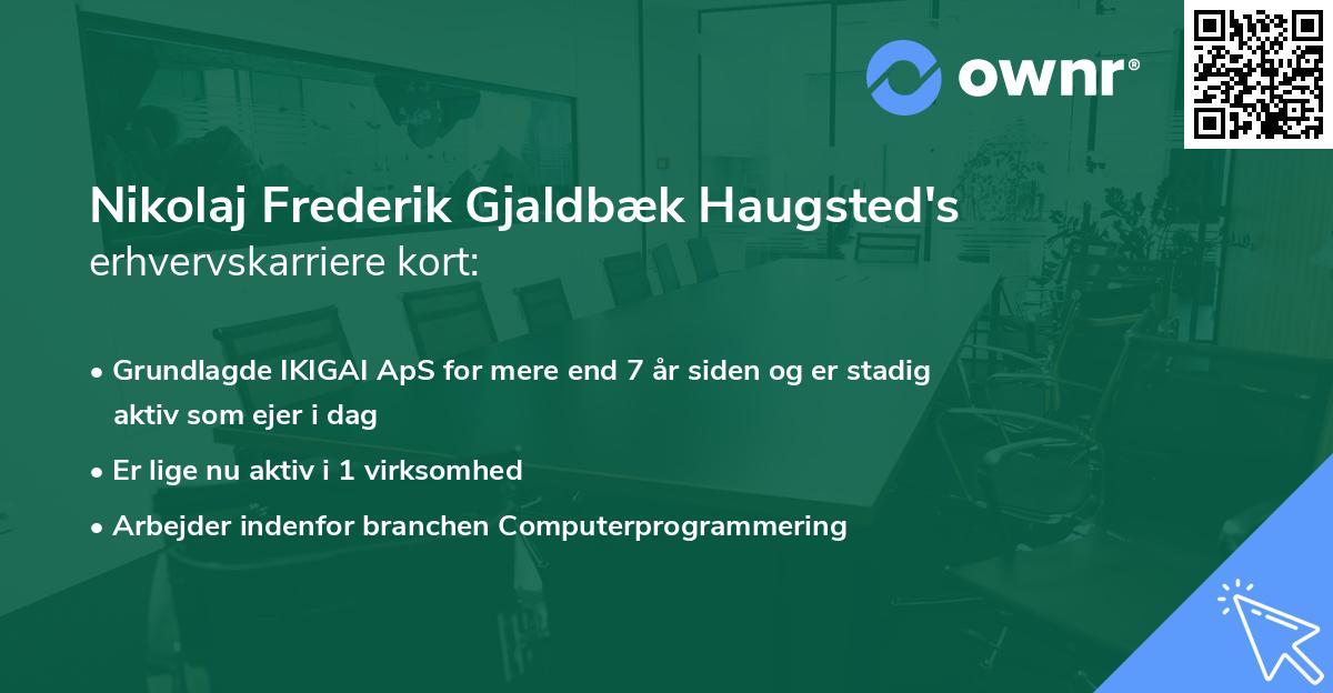 Nikolaj Frederik Gjaldbæk Haugsted's erhvervskarriere kort