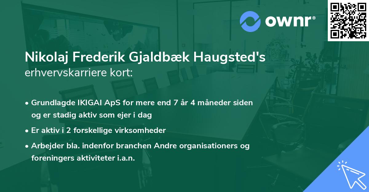 Nikolaj Frederik Gjaldbæk Haugsted's erhvervskarriere kort