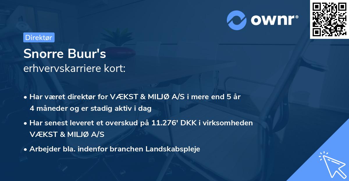 Snorre Buur's erhvervskarriere kort