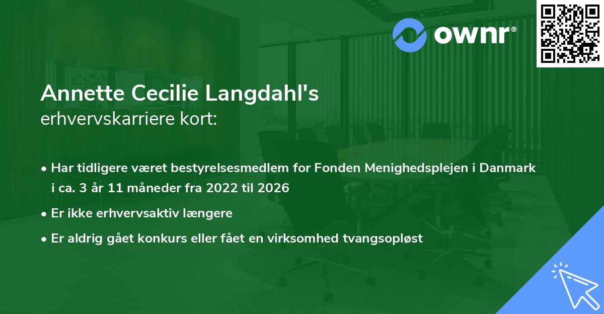 Annette Cecilie Langdahl's erhvervskarriere kort