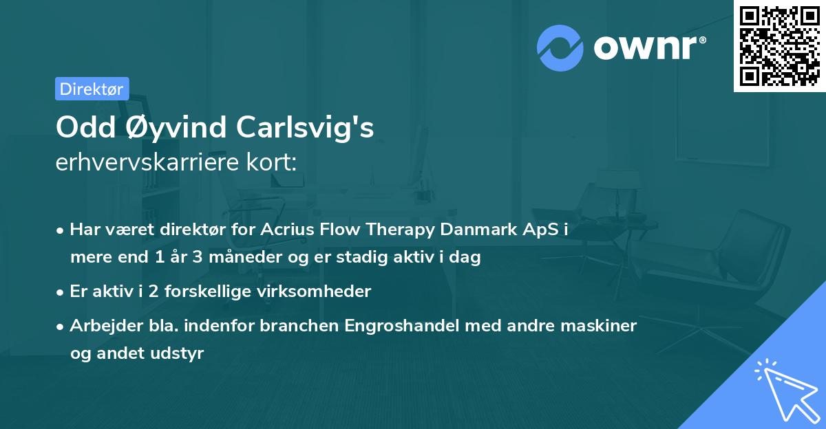 Odd Øyvind Carlsvig's erhvervskarriere kort