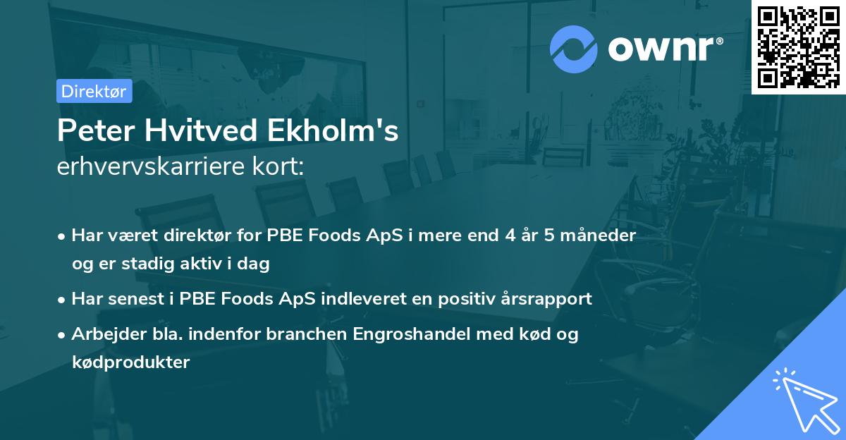 Peter Hvitved Ekholm's erhvervskarriere kort