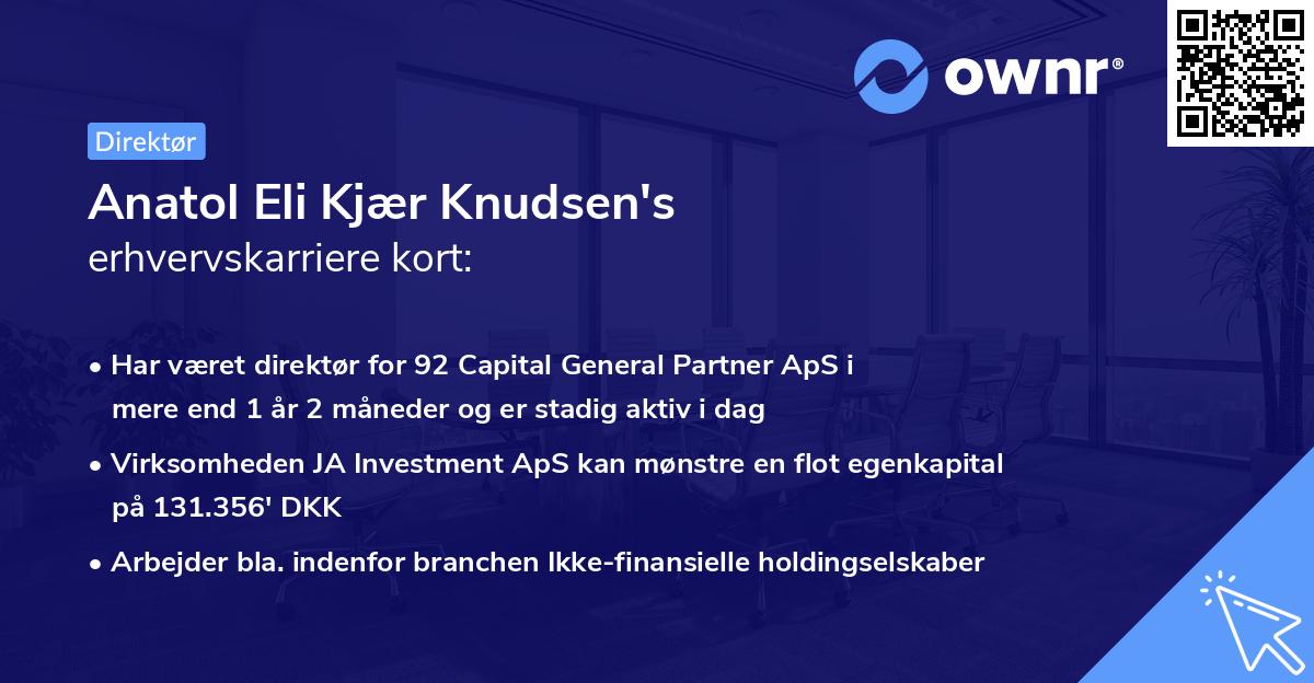 Anatol Eli Kjær Knudsen's erhvervskarriere kort