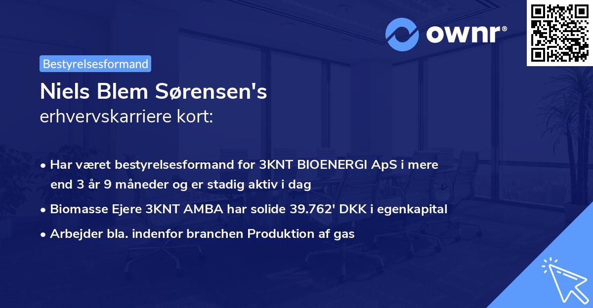 Niels Blem Sørensen's erhvervskarriere kort
