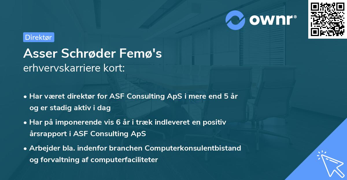 Asser Schrøder Femø's erhvervskarriere kort