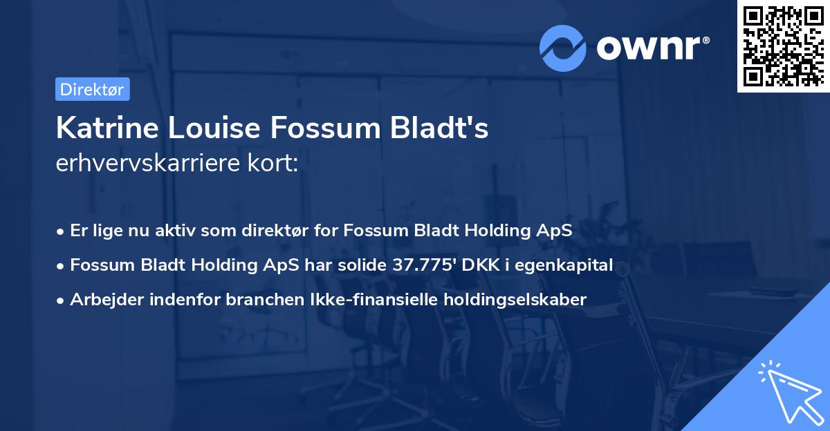 Katrine Louise Fossum Bladt's erhvervskarriere kort