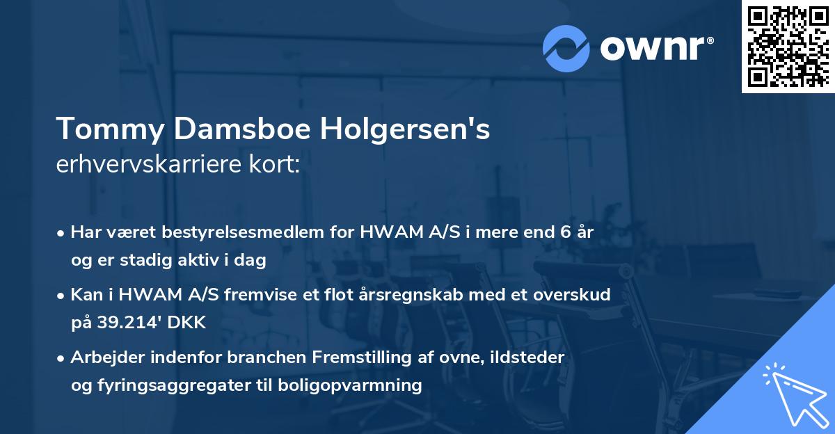 Tommy Damsboe Holgersen's erhvervskarriere kort