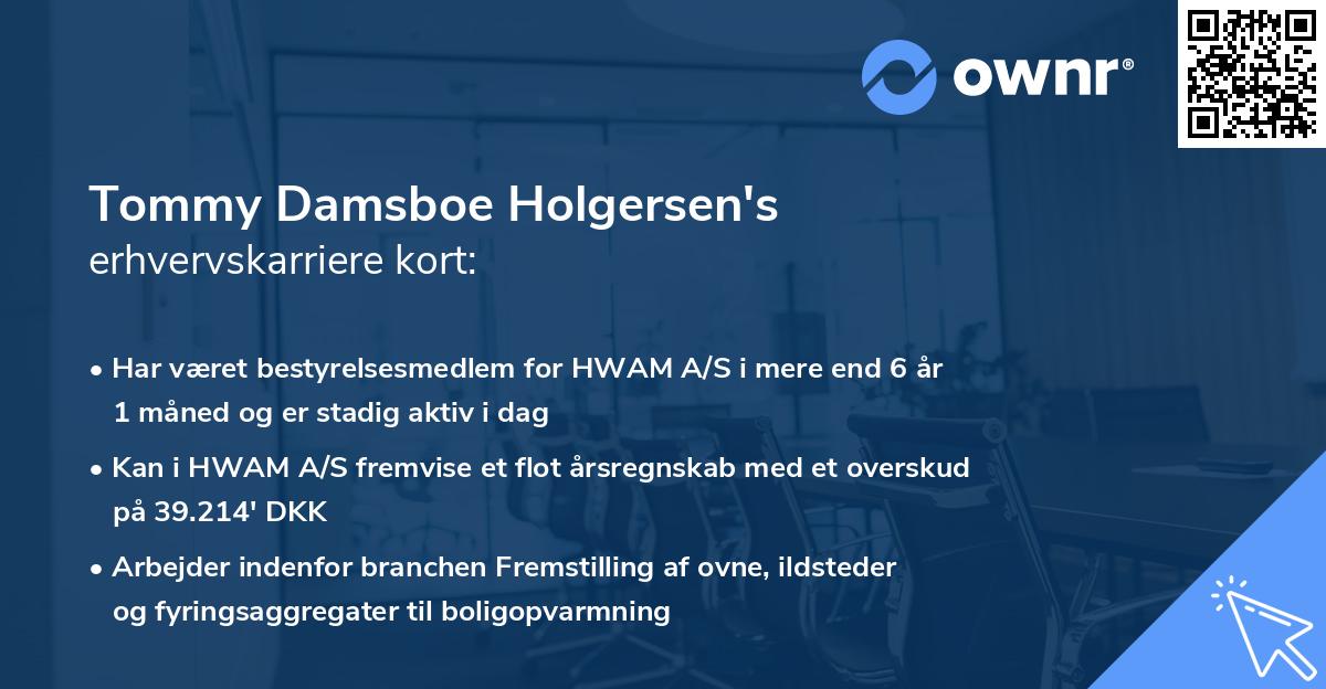 Tommy Damsboe Holgersen's erhvervskarriere kort