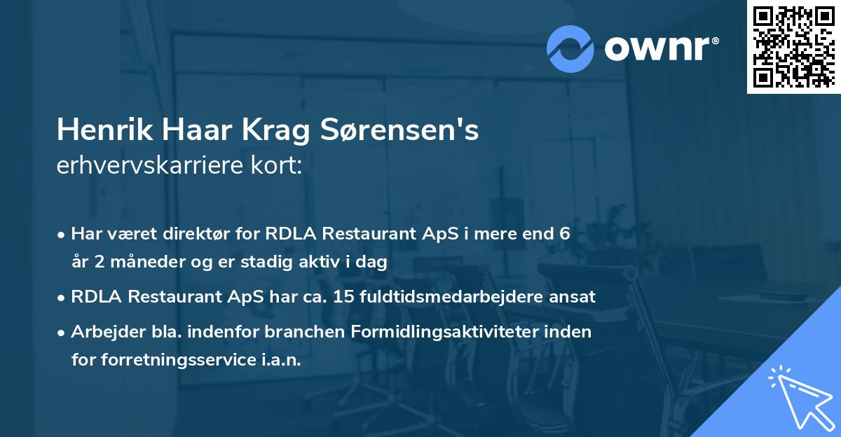 Henrik Haar Krag Sørensen's erhvervskarriere kort