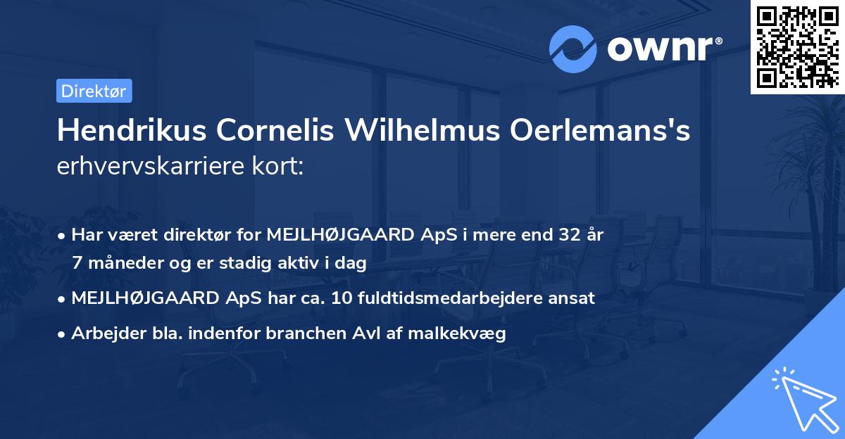 Hendrikus Cornelis Wilhelmus Oerlemans's erhvervskarriere kort