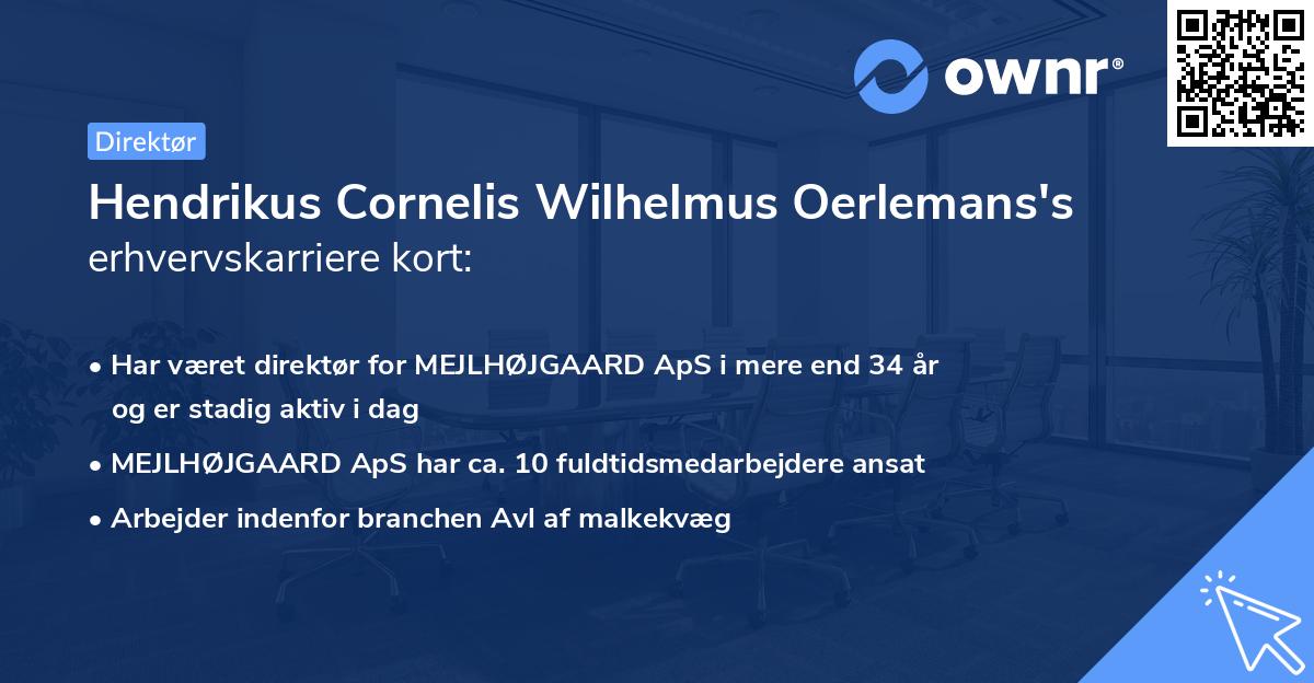 Hendrikus Cornelis Wilhelmus Oerlemans's erhvervskarriere kort
