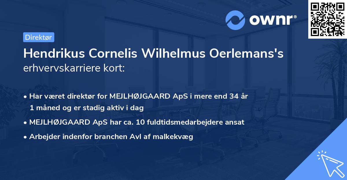 Hendrikus Cornelis Wilhelmus Oerlemans's erhvervskarriere kort