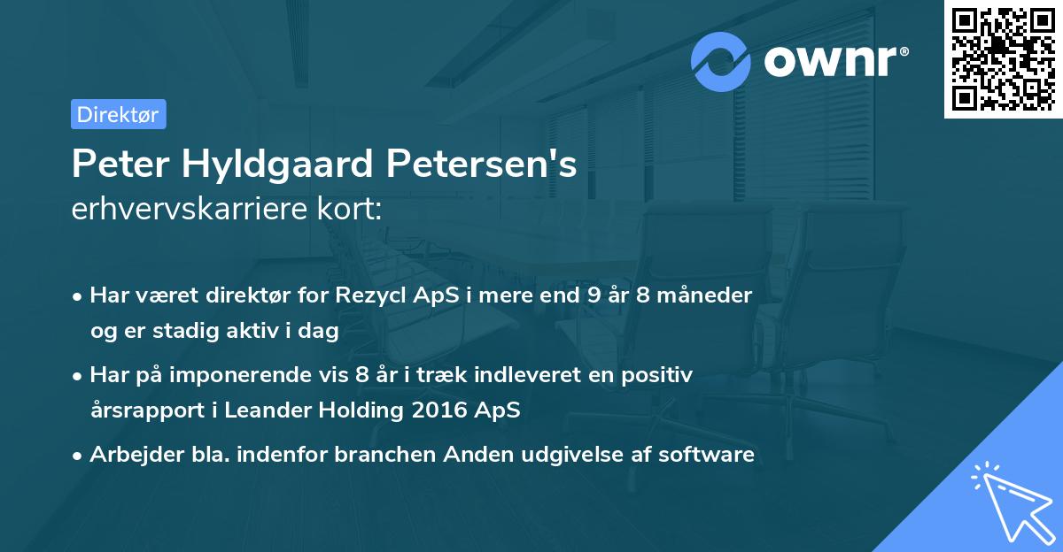 Peter Hyldgaard Petersen's erhvervskarriere kort