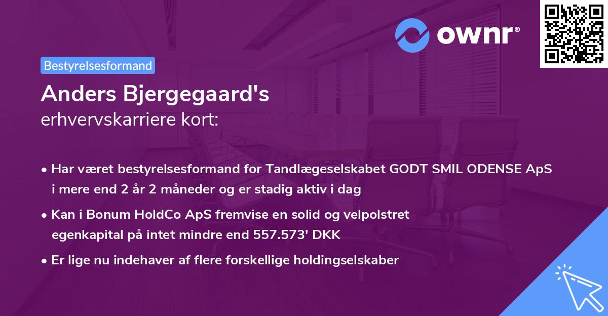 Anders Bjergegaard's erhvervskarriere kort