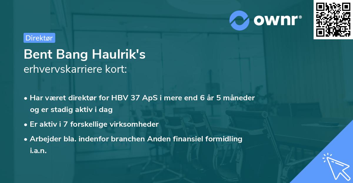 Bent Bang Haulrik's erhvervskarriere kort