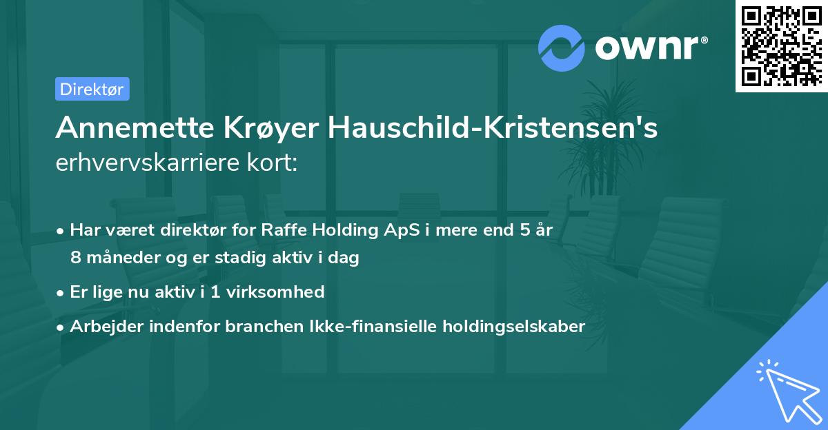 Annemette Krøyer Hauschild-Kristensen's erhvervskarriere kort