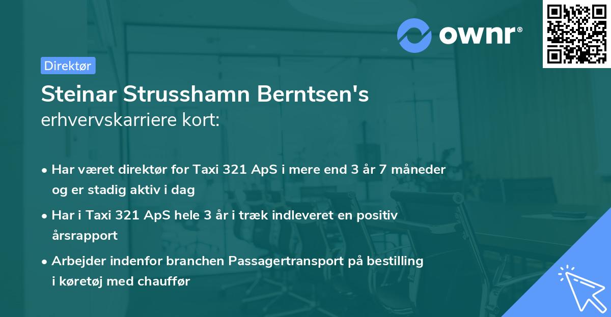 Steinar Strusshamn Berntsen's erhvervskarriere kort
