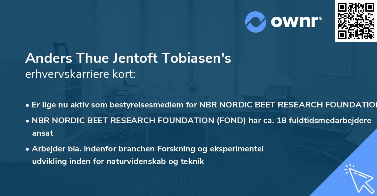 Anders Thue Jentoft Tobiasen's erhvervskarriere kort