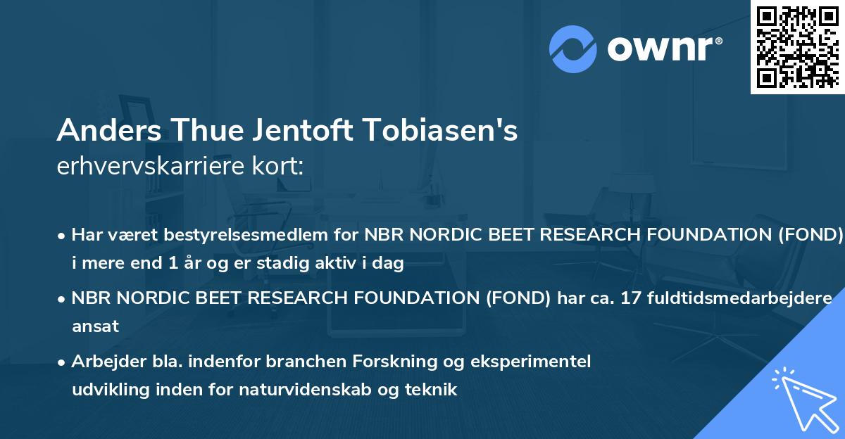 Anders Thue Jentoft Tobiasen's erhvervskarriere kort