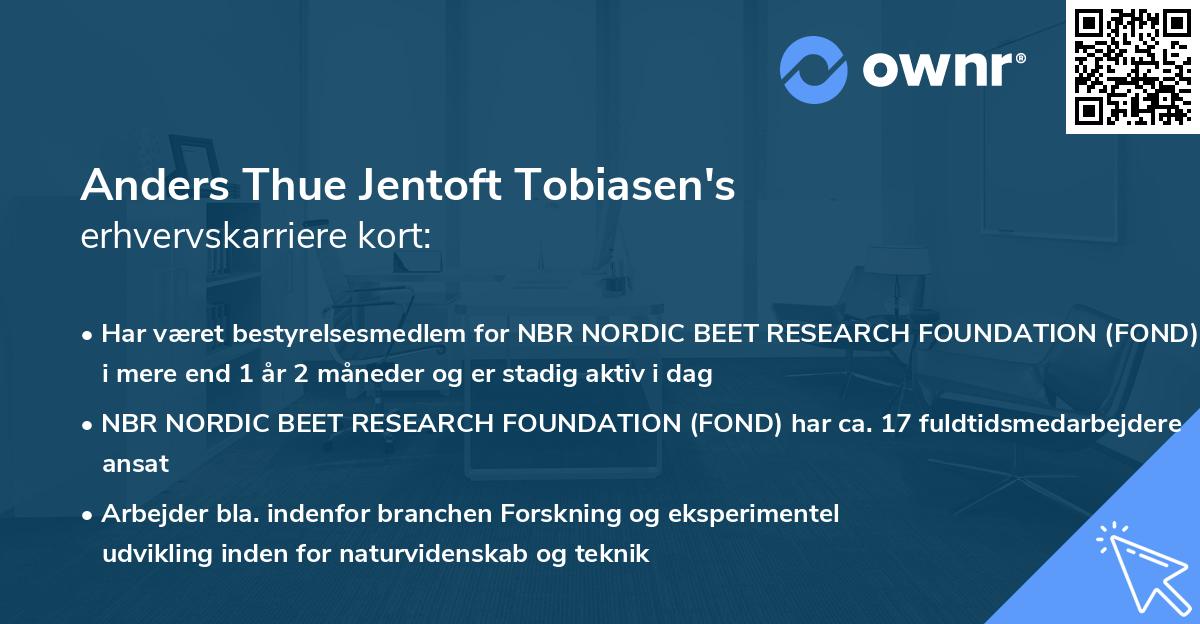 Anders Thue Jentoft Tobiasen's erhvervskarriere kort