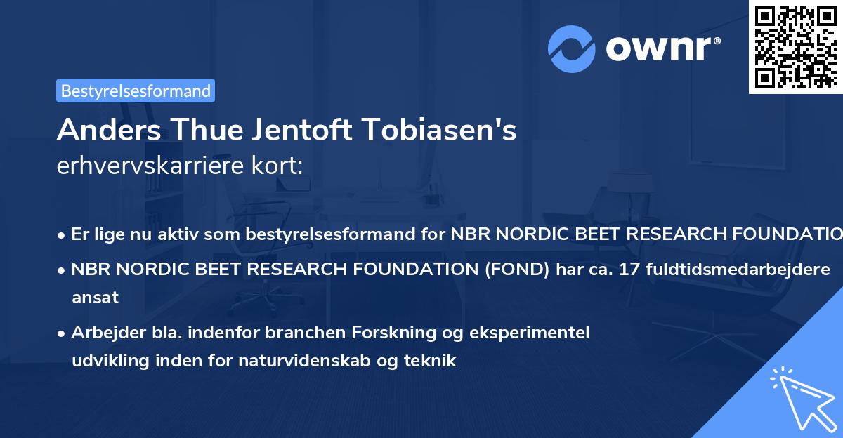 Anders Thue Jentoft Tobiasen's erhvervskarriere kort