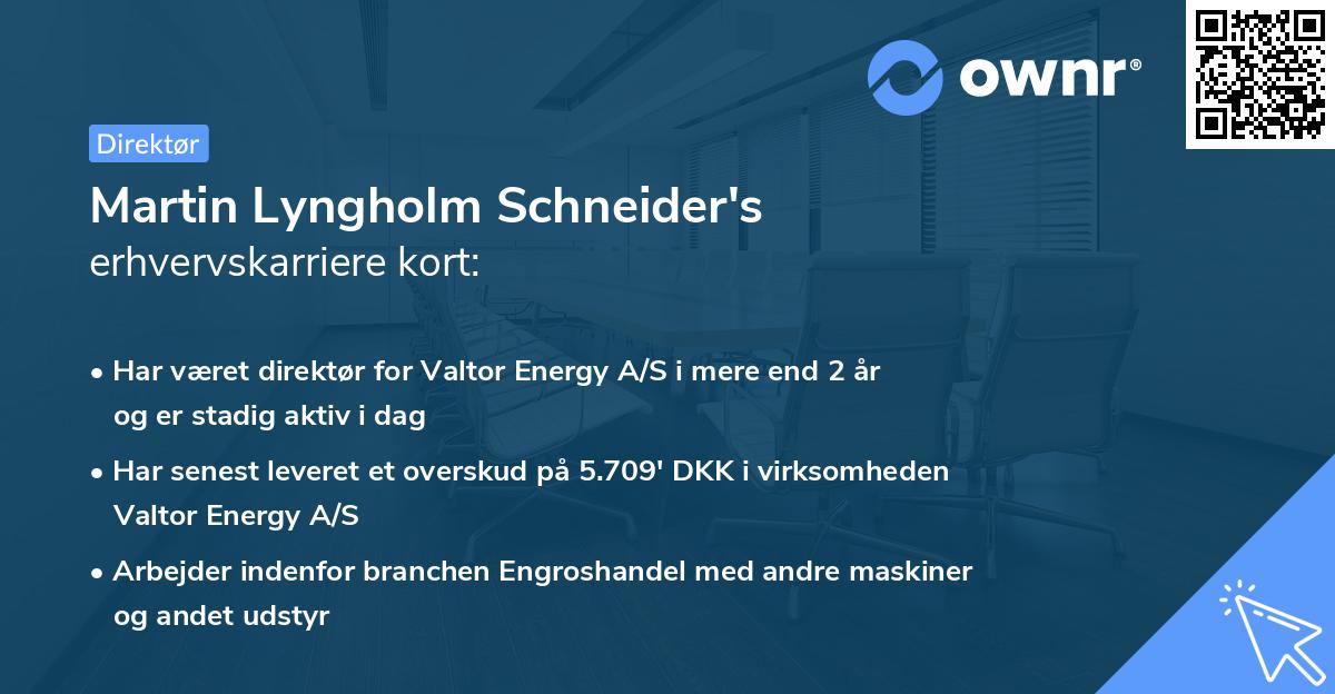 Martin Lyngholm Schneider's erhvervskarriere kort