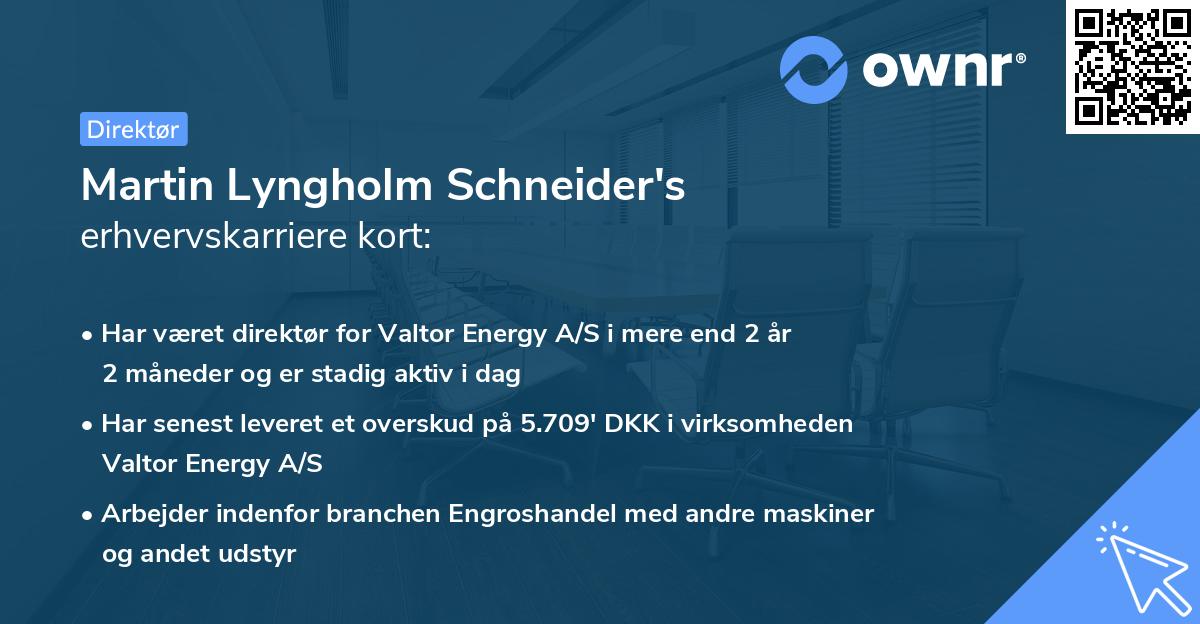 Martin Lyngholm Schneider's erhvervskarriere kort