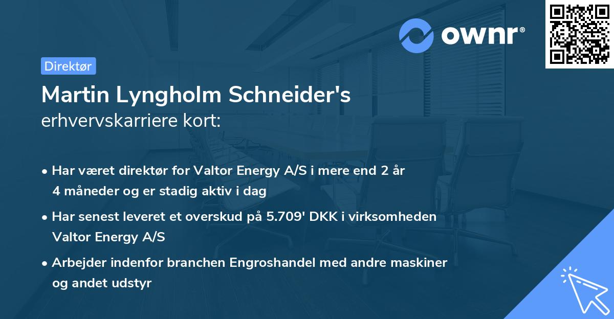 Martin Lyngholm Schneider's erhvervskarriere kort