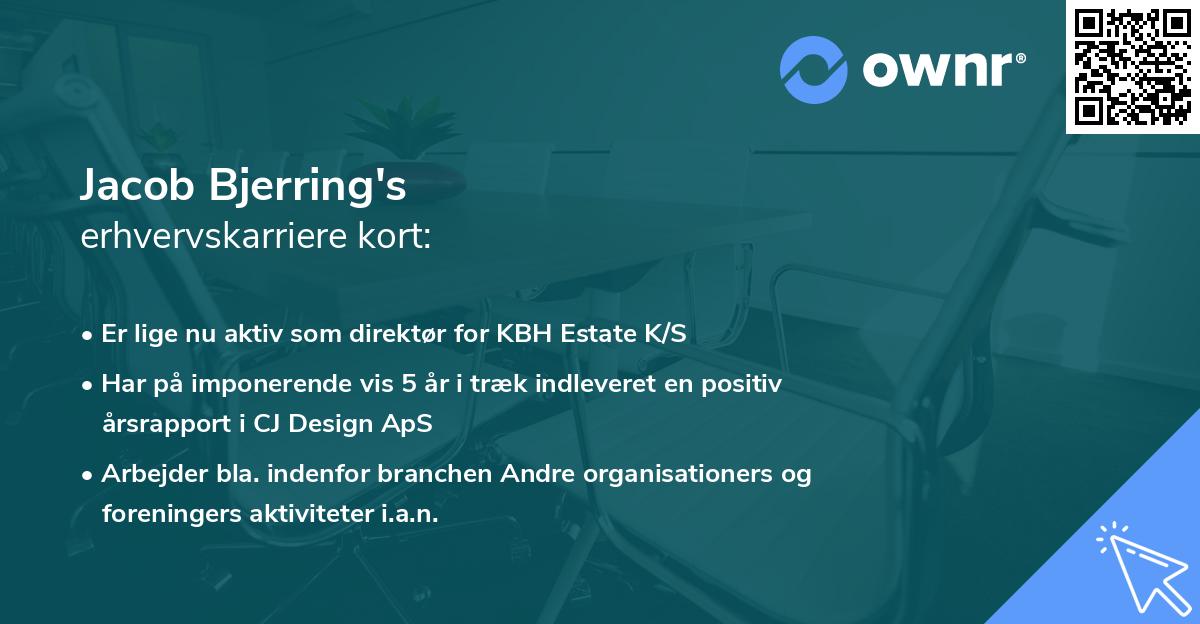 Jacob Bjerring's erhvervskarriere kort