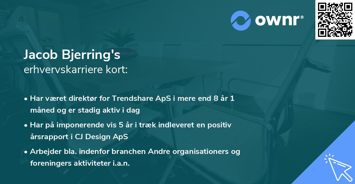Jacob Bjerring's erhvervskarriere kort