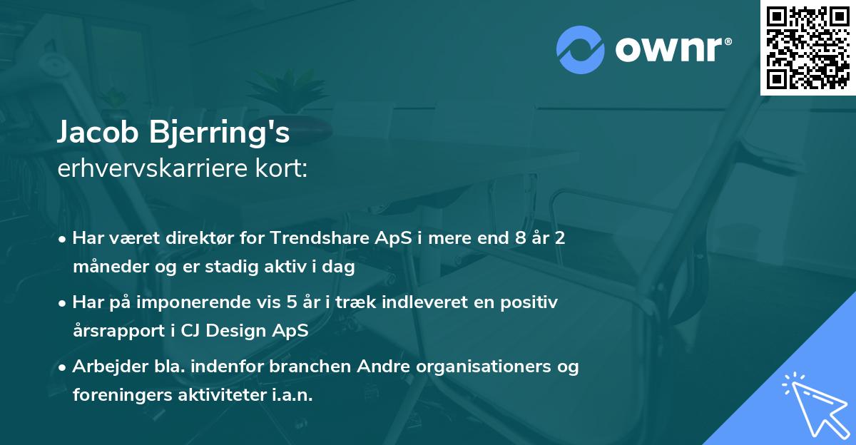 Jacob Bjerring's erhvervskarriere kort