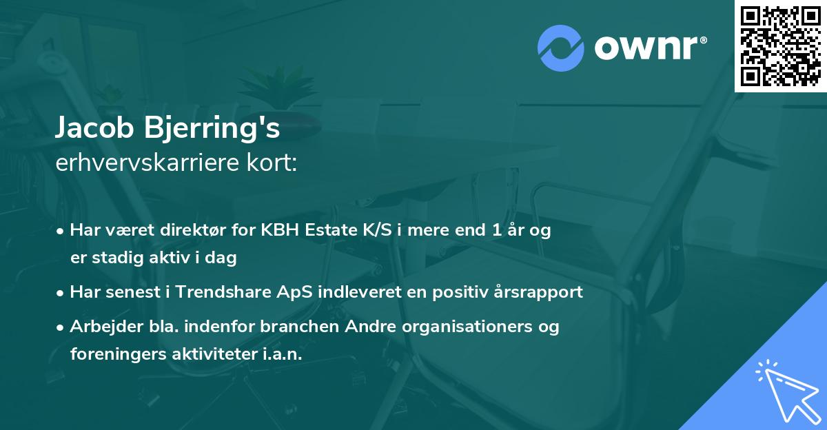 Jacob Bjerring's erhvervskarriere kort