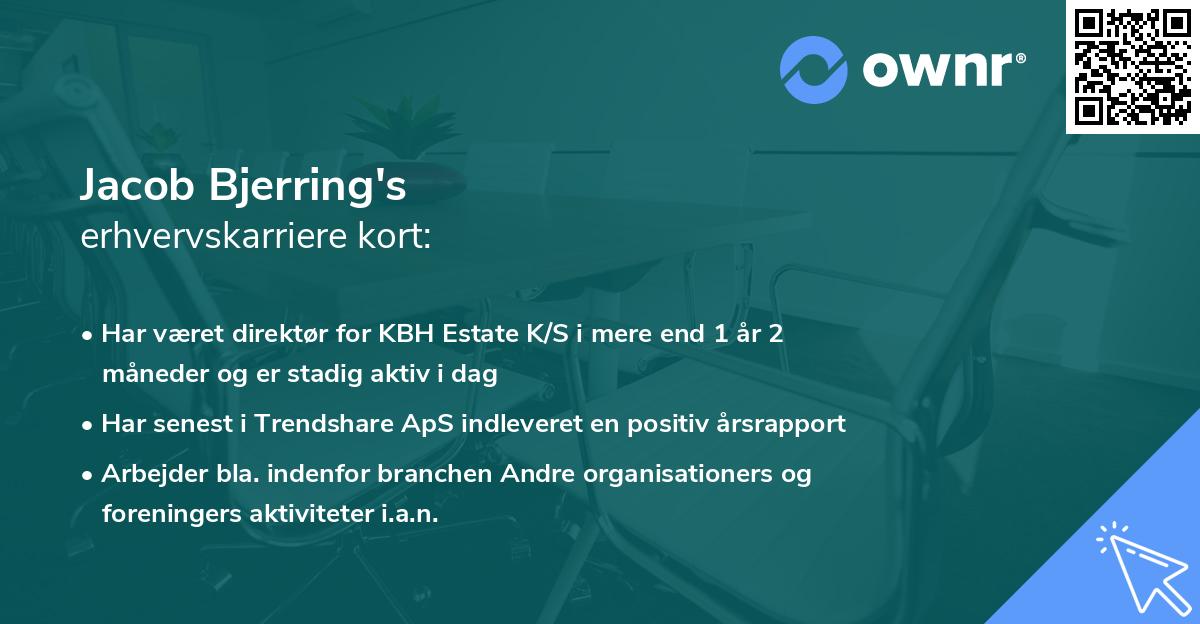 Jacob Bjerring's erhvervskarriere kort