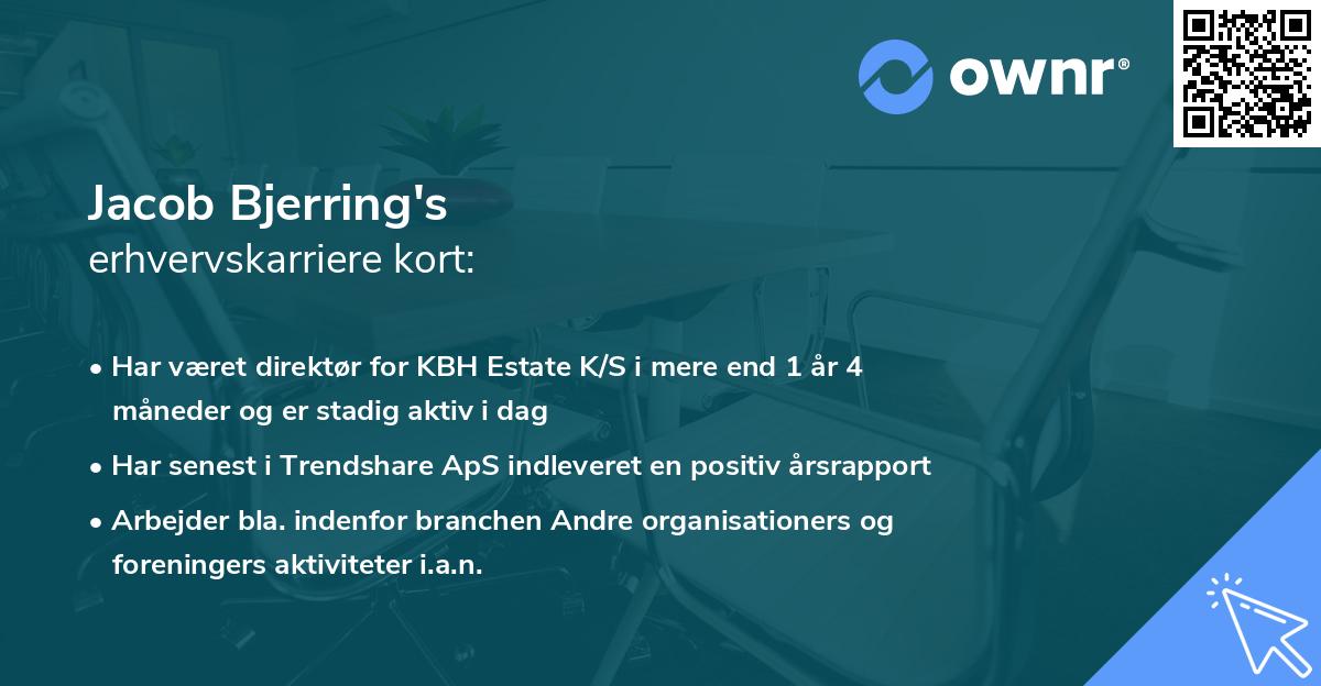 Jacob Bjerring's erhvervskarriere kort
