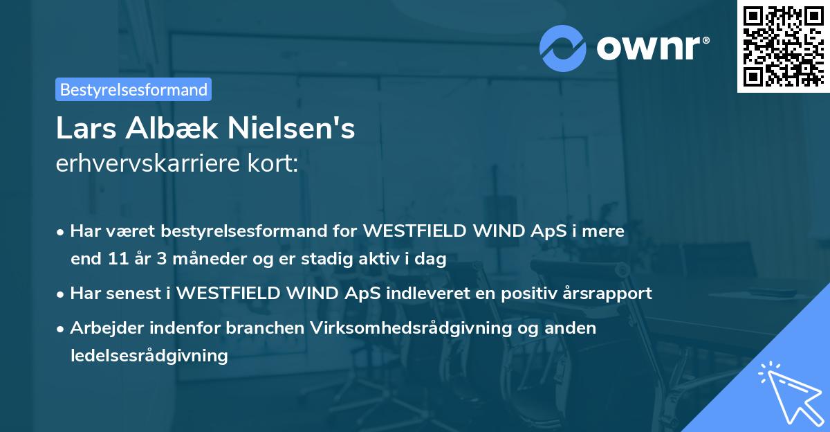 Lars Albæk Nielsen's erhvervskarriere kort