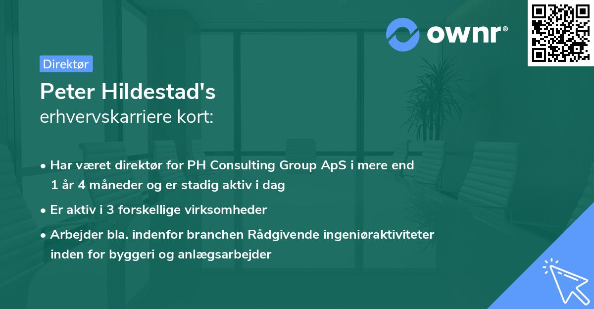 Peter Hildestad's erhvervskarriere kort