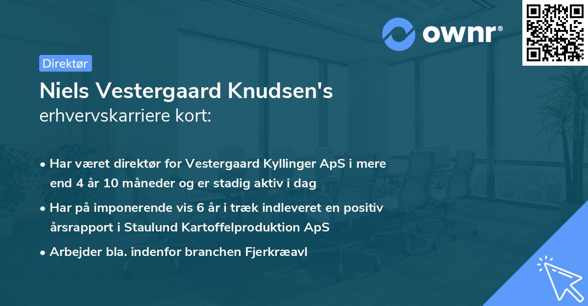 Niels Vestergaard Knudsen's erhvervskarriere kort