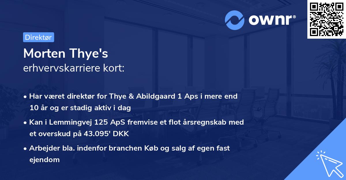 Morten Thye's erhvervskarriere kort