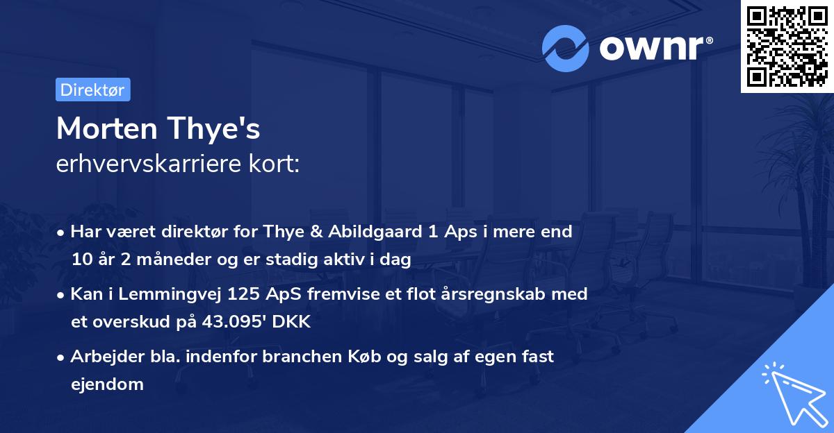 Morten Thye's erhvervskarriere kort