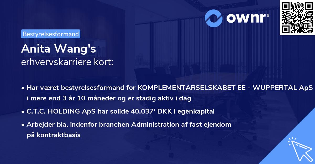 Anita Wang's erhvervskarriere kort