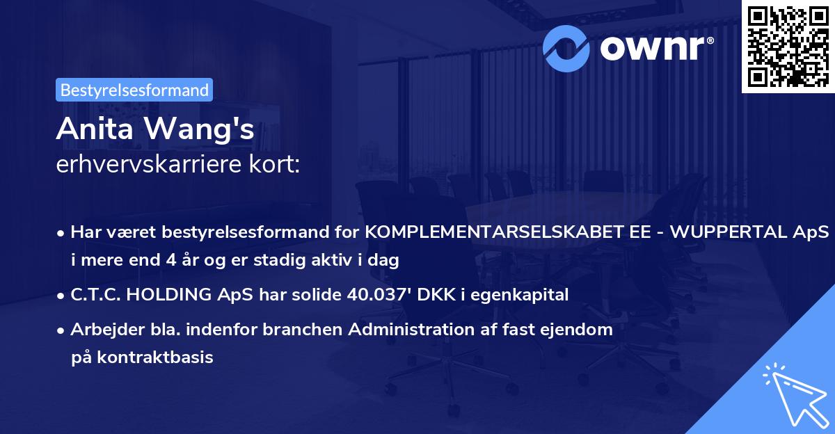 Anita Wang's erhvervskarriere kort