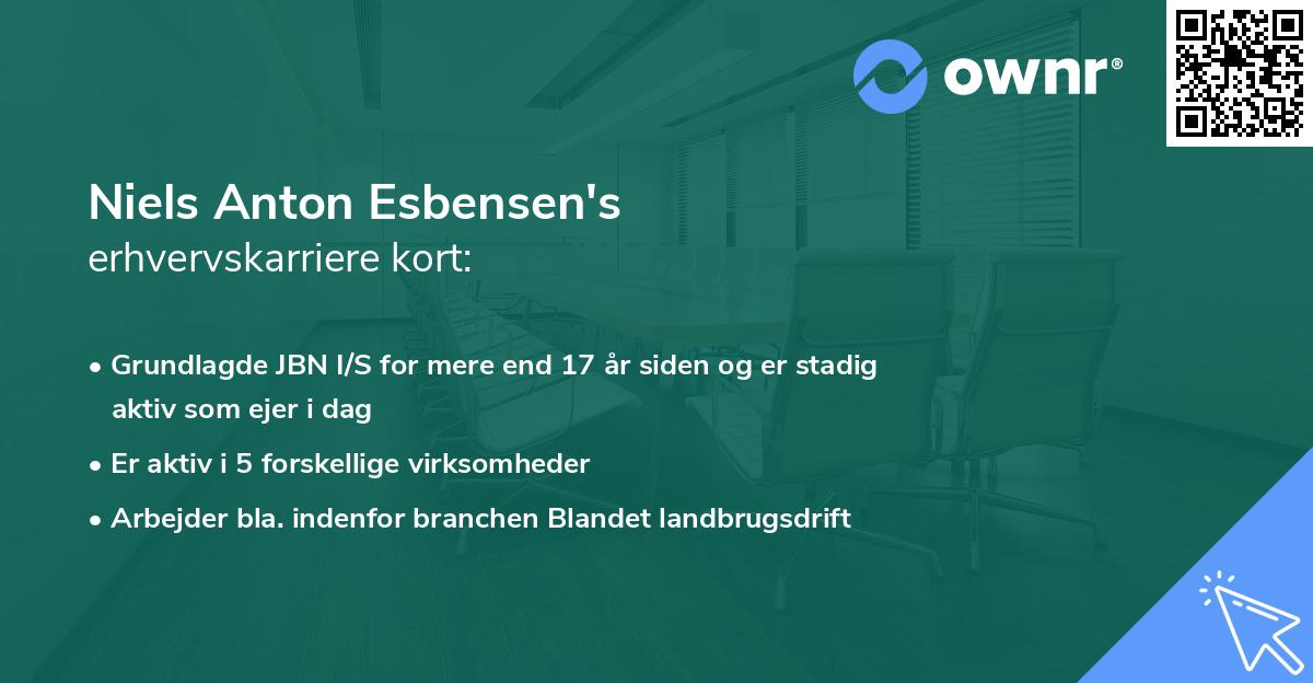 Niels Anton Esbensen's erhvervskarriere kort
