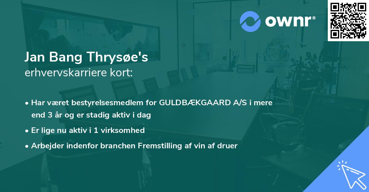 Jan Bang Thrysøe's erhvervskarriere kort