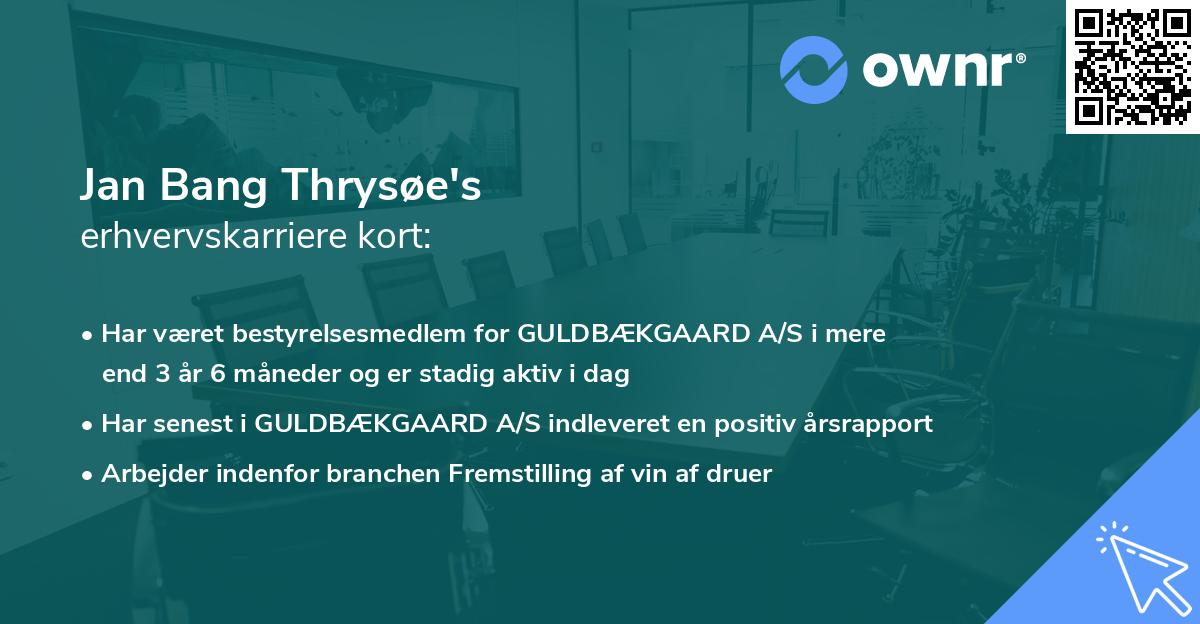 Jan Bang Thrysøe's erhvervskarriere kort
