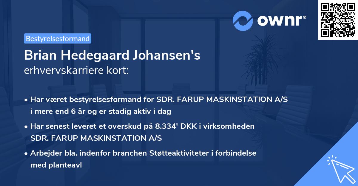Brian Hedegaard Johansen's erhvervskarriere kort