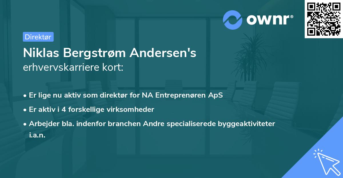 Niklas Bergstrøm Andersen's erhvervskarriere kort