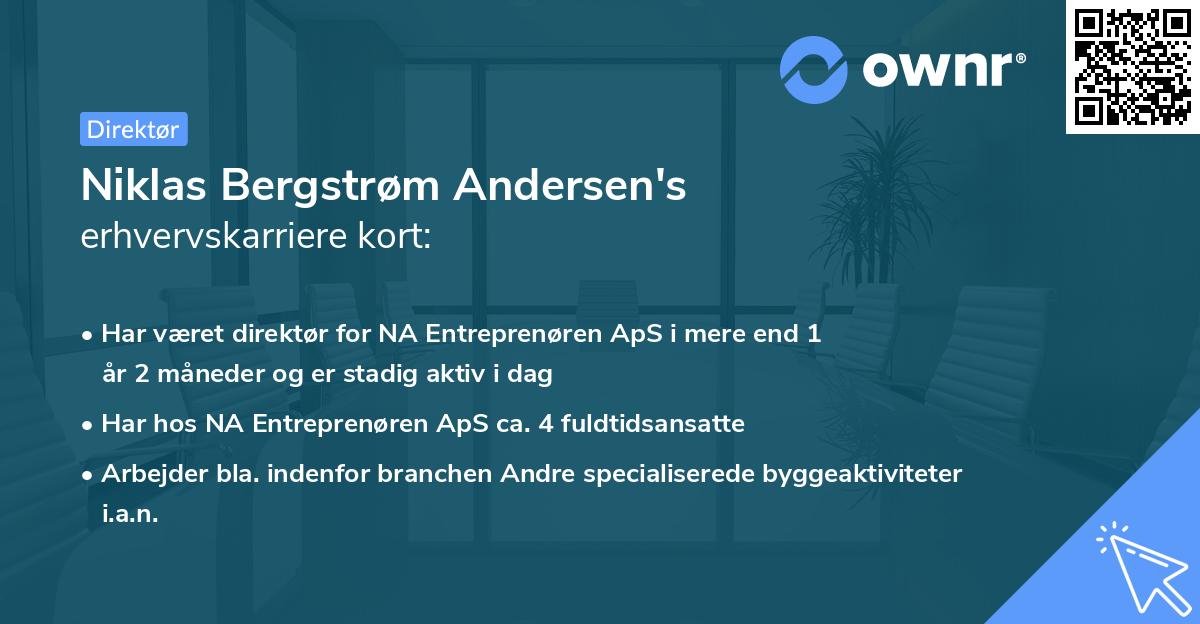 Niklas Bergstrøm Andersen's erhvervskarriere kort