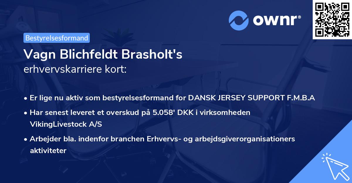Vagn Blichfeldt Brasholt's erhvervskarriere kort