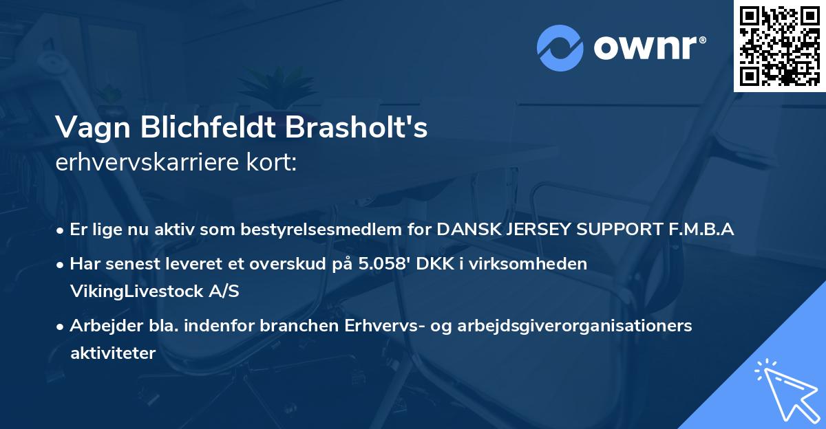 Vagn Blichfeldt Brasholt's erhvervskarriere kort